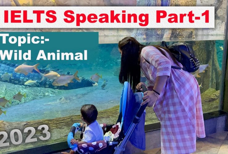 IELTS Speaking Part 1 Topic wild animal | May to August 2023