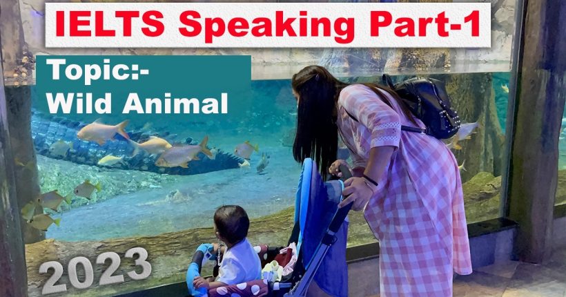 IELTS Speaking Part 1 Topic wild animal | May to August 2023