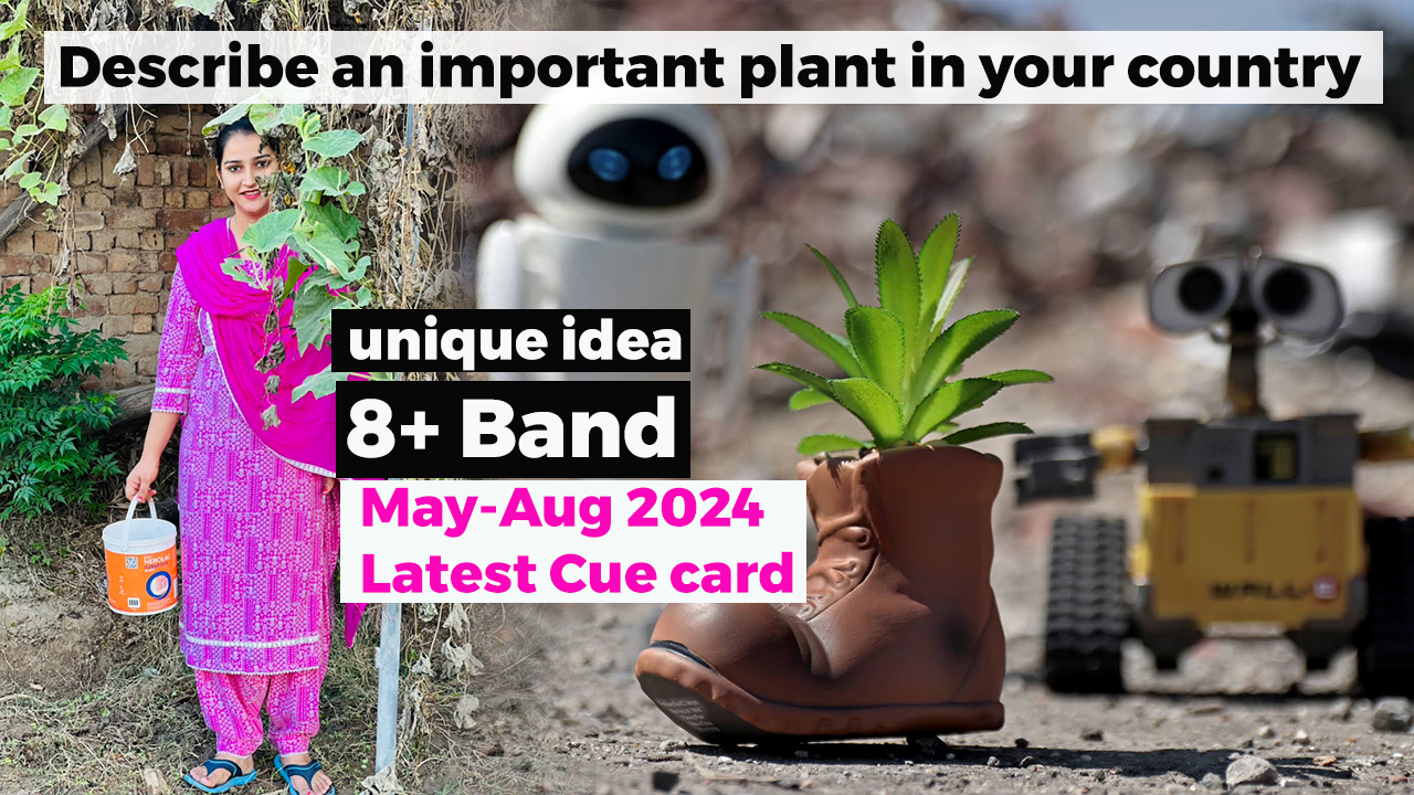 Describe an important plant in your country cue card | 8 Band Sample | May to August 2024 | IELTS Speaking