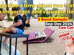 Describe a time when you lost an important and valuable item | 8 band sample