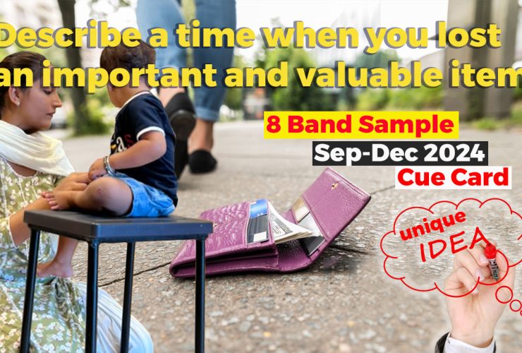 Describe a time when you lost an important and valuable item | 8 band sample